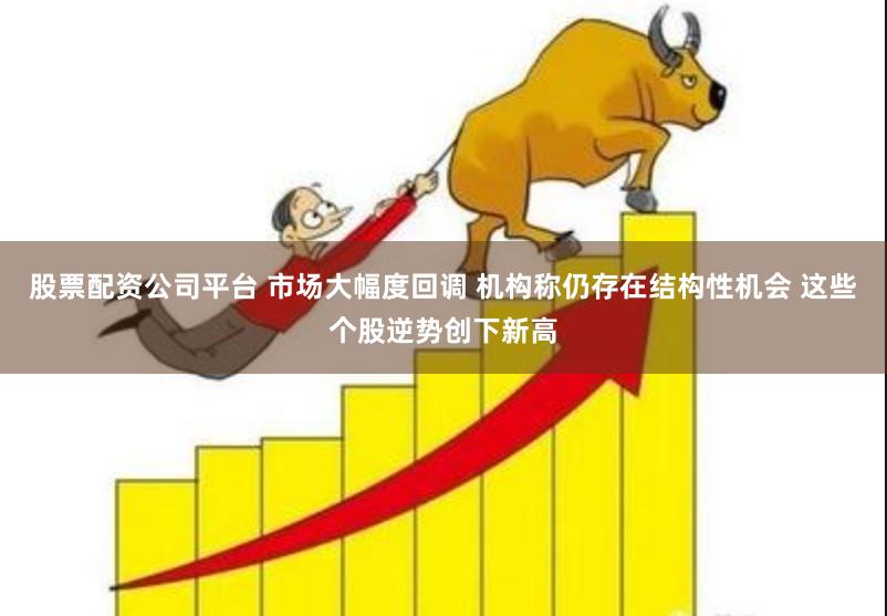 股票配资公司平台 市场大幅度回调 机构称仍存在结构性机会 这些个股逆势创下新高