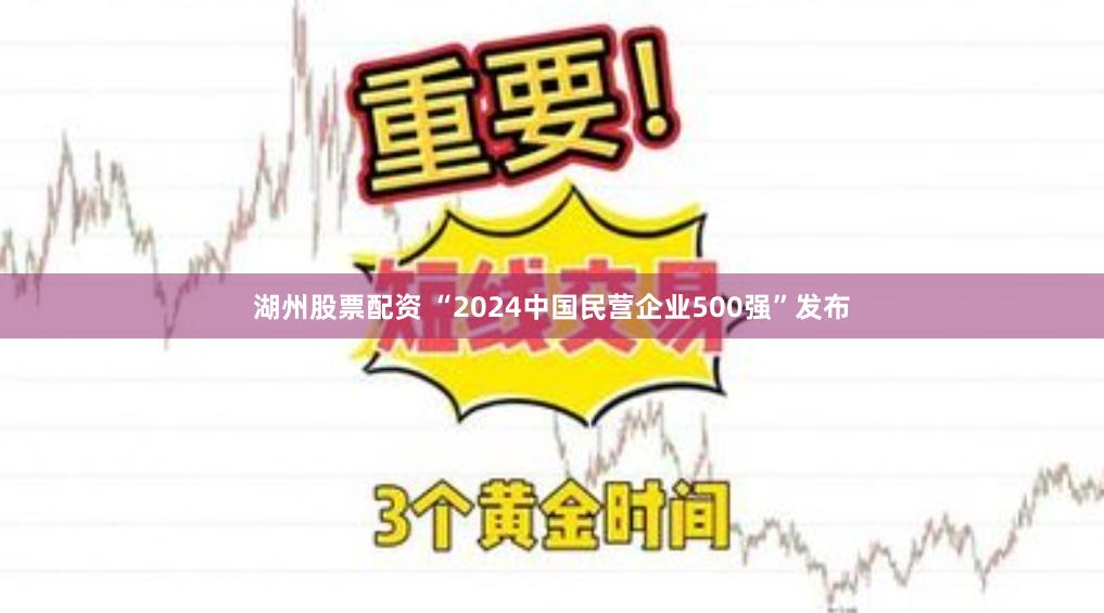 湖州股票配资 “2024中国民营企业500强”发布