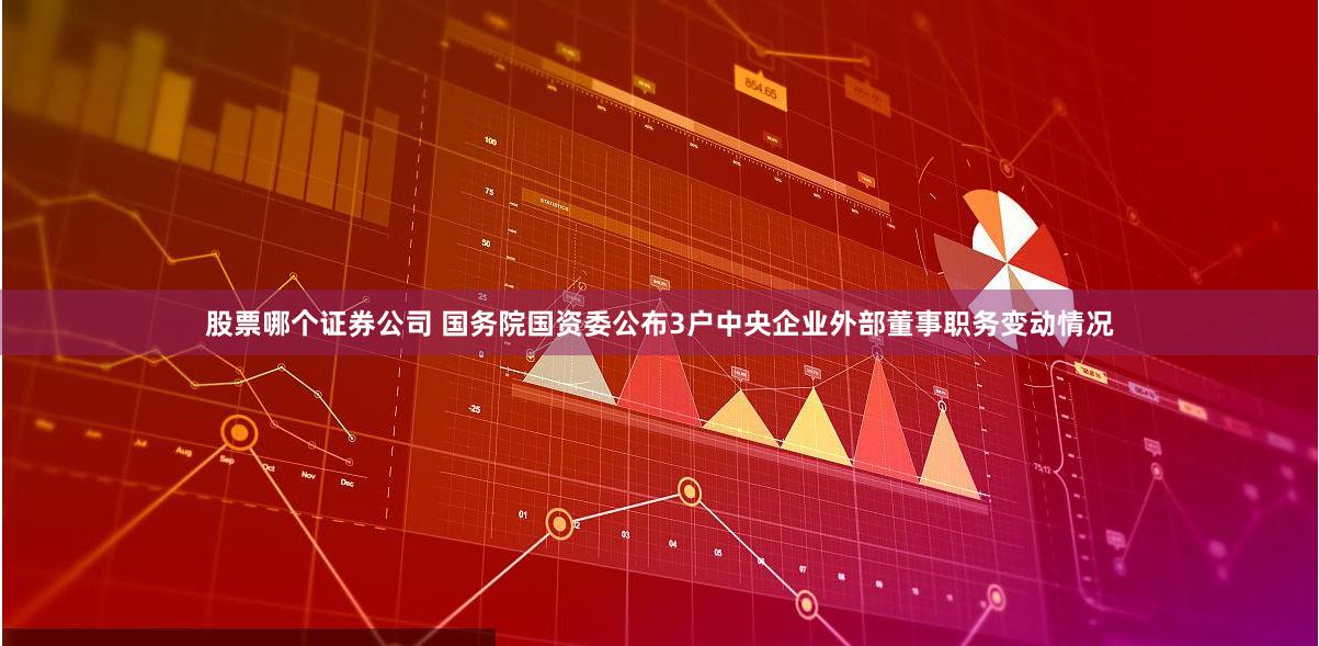 股票哪个证券公司 国务院国资委公布3户中央企业外部董事职务变动情况