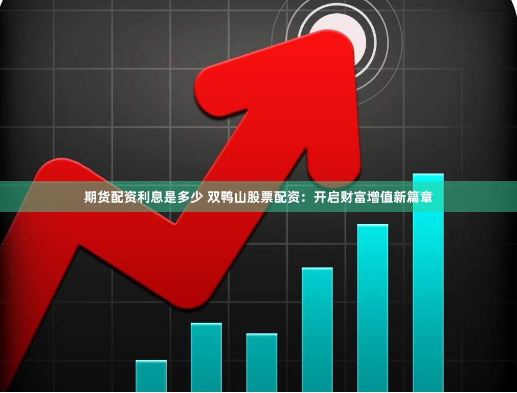 期货配资利息是多少 双鸭山股票配资:开启财富增值新篇章